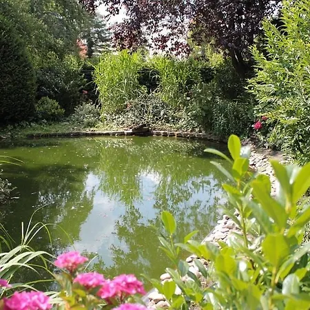 Hotel Altes Greve 3*